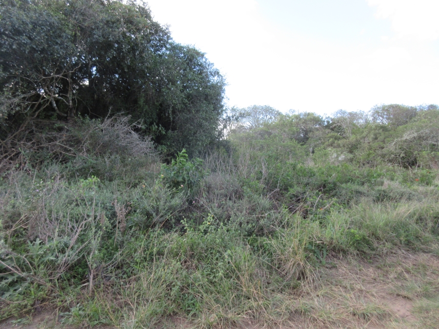 0 Bedroom Property for Sale in Bathurst Eastern Cape